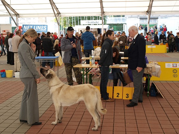 Bratislava 2009