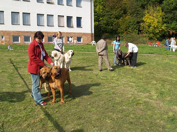 Dubová 6.októbra 2007